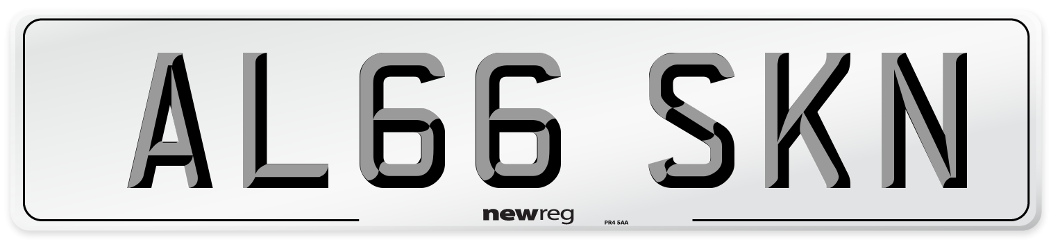 AL66 SKN Number Plate from New Reg